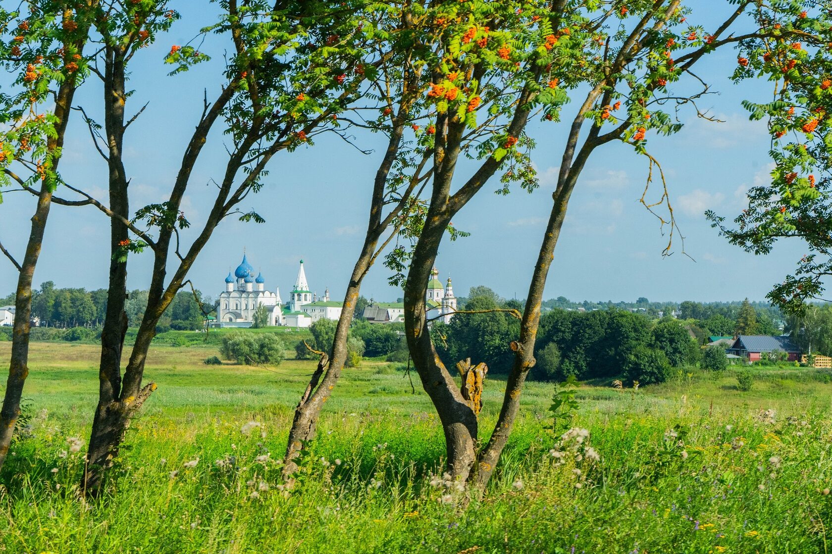 Не только храмы:  как развлечься  в Суздале