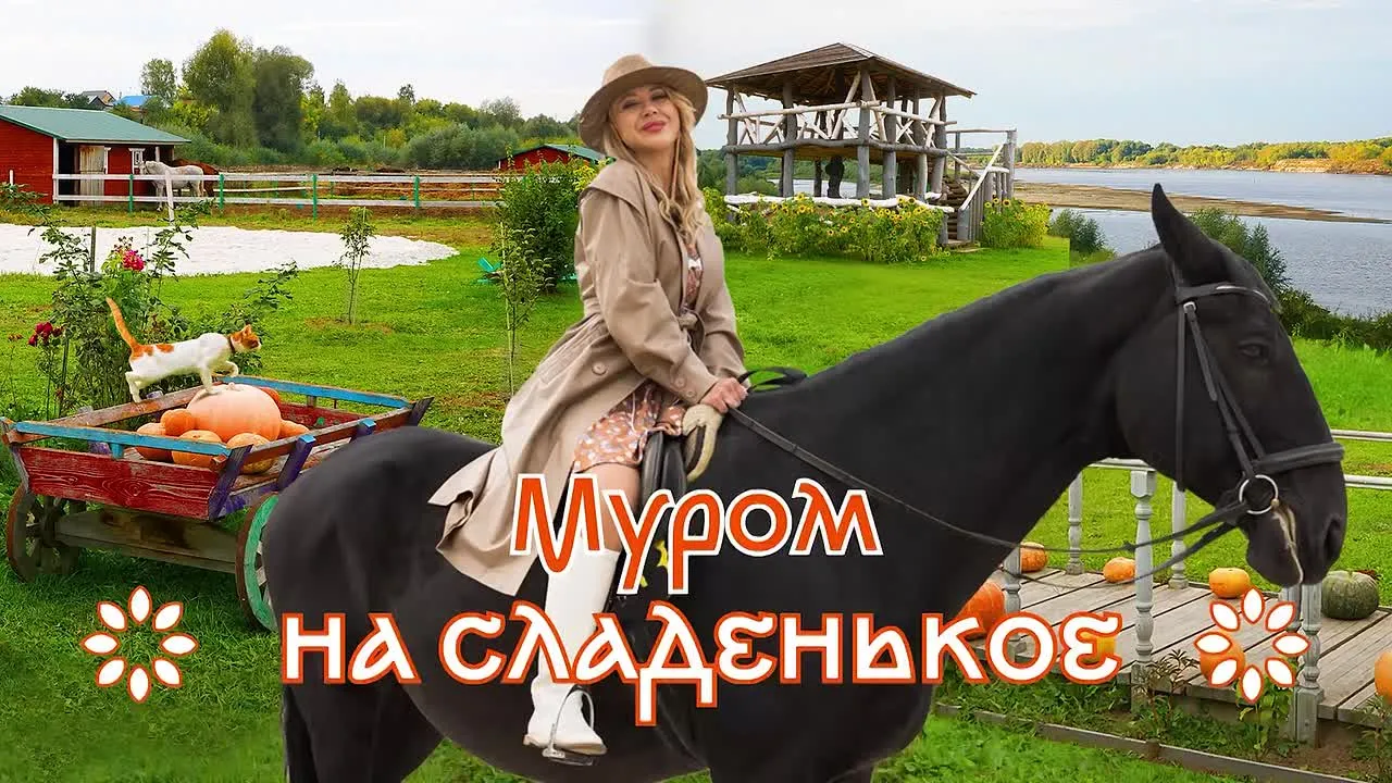 На сладенькое. В Муром по М-12 «Восток»