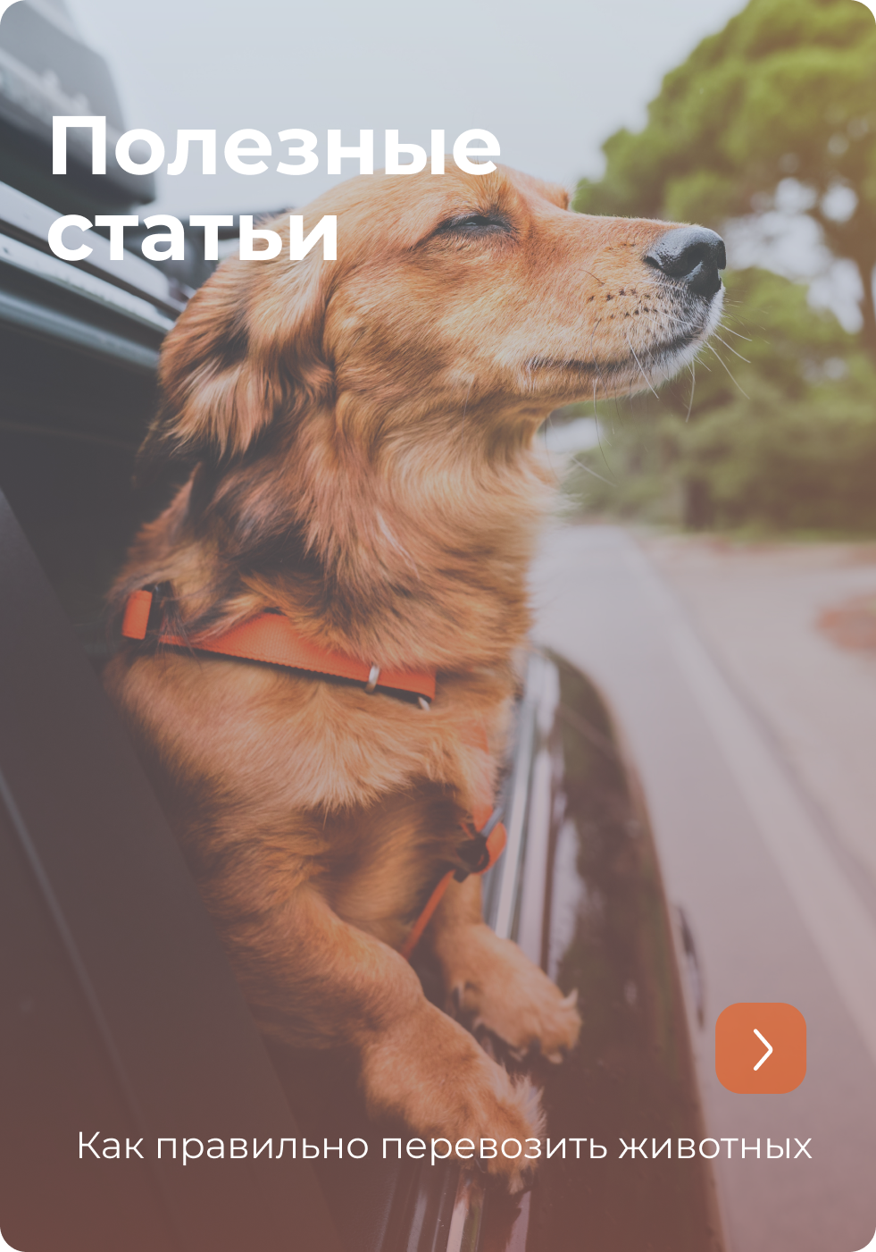 Полезные статьи