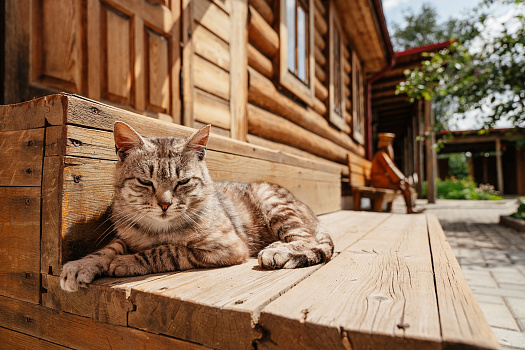 Епифань: что  посмотреть за 1 день